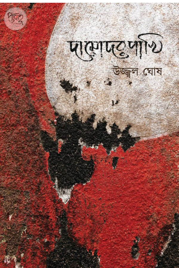 Damodar Pakhi